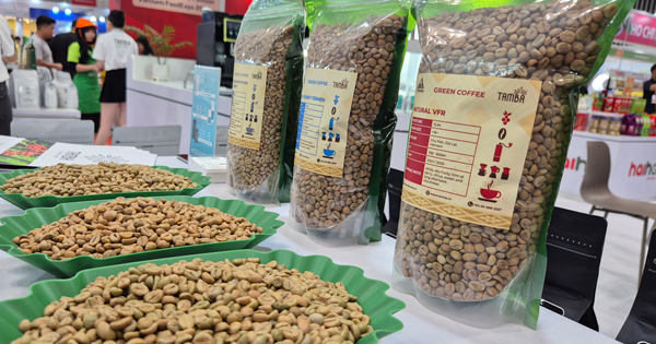 "Cân não" trước vụ cà phê mới