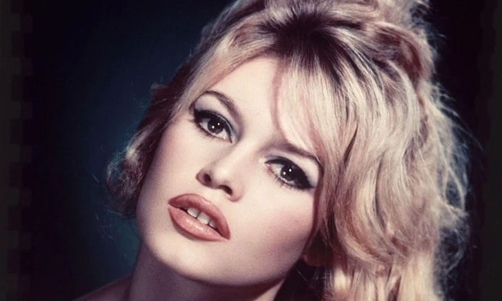 Biểu tượng điện ảnh Pháp Brigitte Bardot qua đời