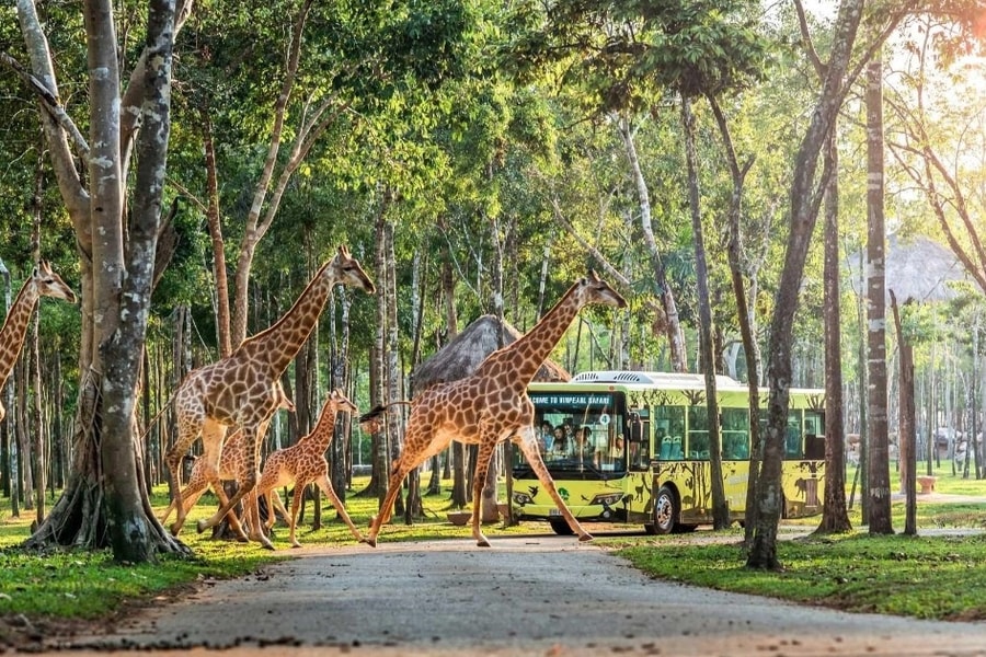 Dấu ấn trên hành trình 10 năm phát triển của Vinpearl Safari Phú Quốc