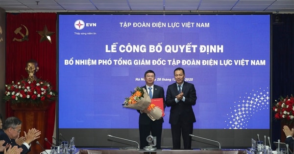 Bổ nhiệm 2 Phó Tổng giám đốc EVN