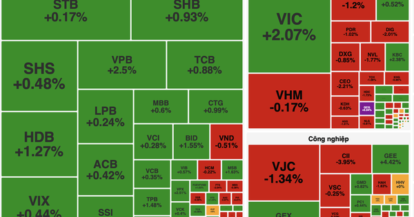Cổ phiếu QCG, DGC tạo điểm nhấn trong phiên VN-Index tăng 12 điểm