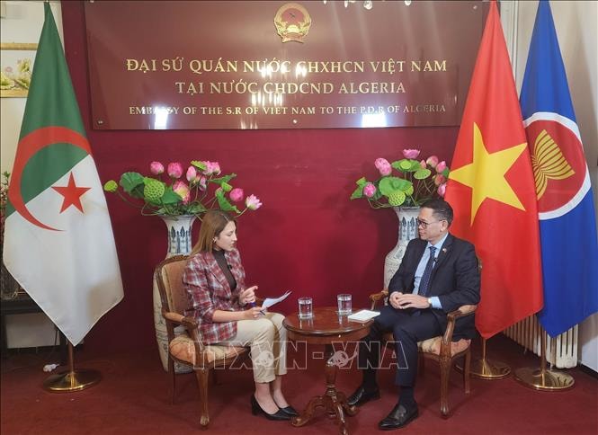 Quan hệ Việt Nam - Algeria còn rất nhiều dư địa để phát triển