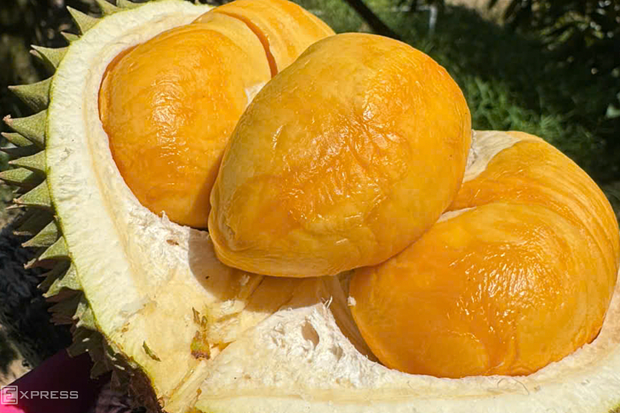 Malaysia chi tiền gấp 5 lần mua sầu riêng Việt Nam