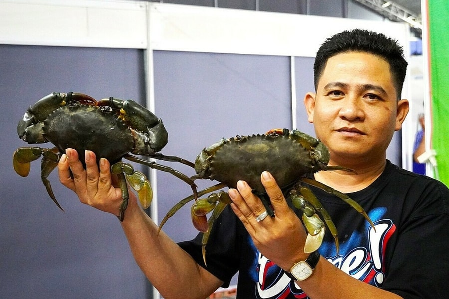 Cua Cà Mau sốt giá dịp Tết Dương lịch