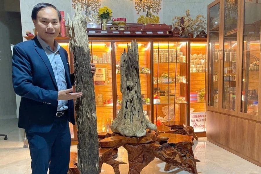 Khúc gỗ "trăm năm có một", được trả giá hơn 600 triệu đồng