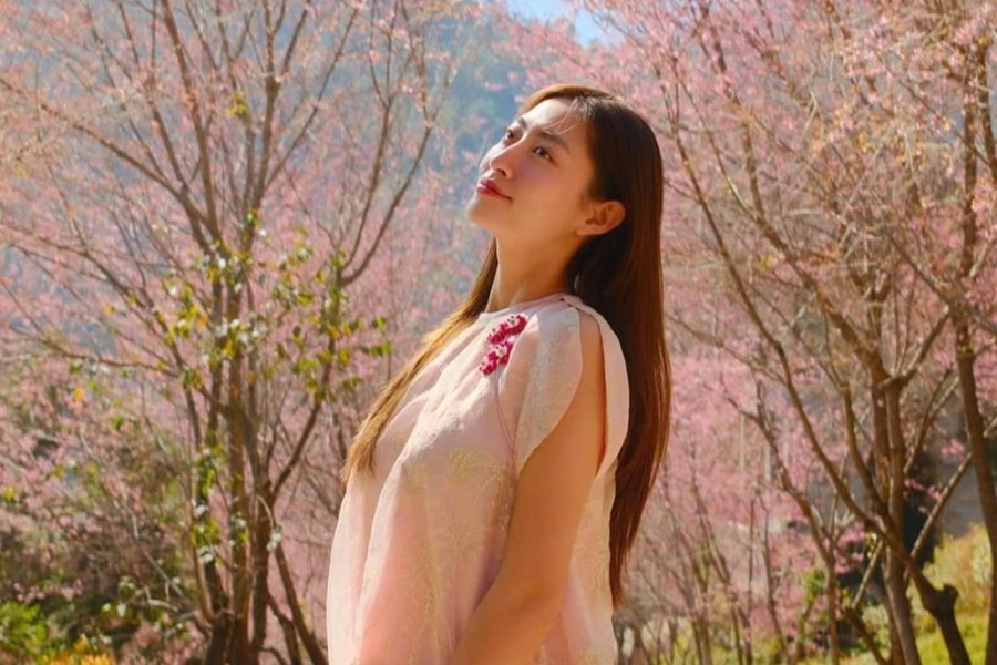 Gợi ý lịch trình cho khách "săn" hoa tớ dày ở Mù Cang Chải