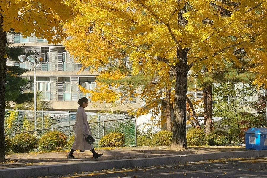 Du học sinh trường top cũng 'khó thở' vì việc làm