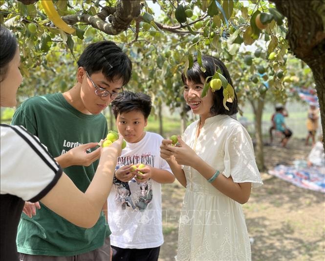 Tạo hướng đi mới cho nông nghiệp ven đô