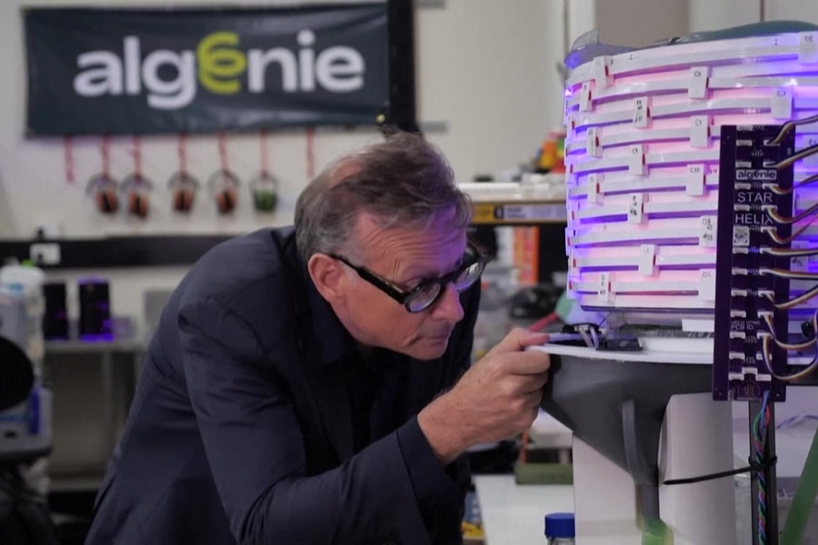 Australia phát triển máy nuôi tảo cho ngành nhựa, thực phẩm