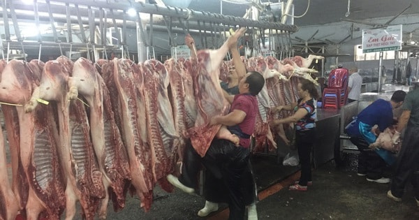 Giá heo hơi hôm nay, 5-1: Đồng loạt giảm trên cả nước