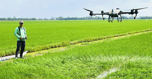 2 hoạt chất thuốc bảo vệ thực vật sắp bị cấm sử dụng tại Việt Nam