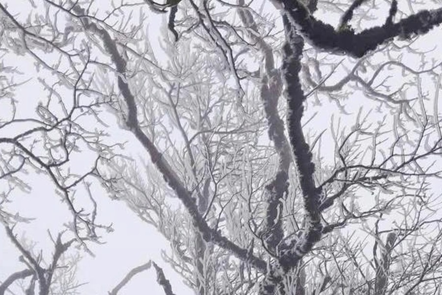 Khách run vì rét buốt dưới 0 độ C ở Cao Bằng