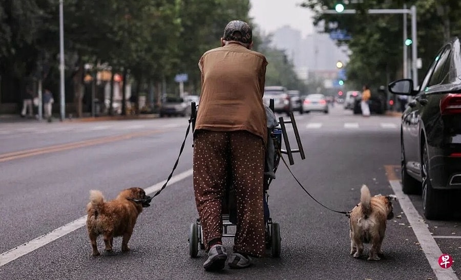 Thế hệ 'không con cái' ở Trung Quốc