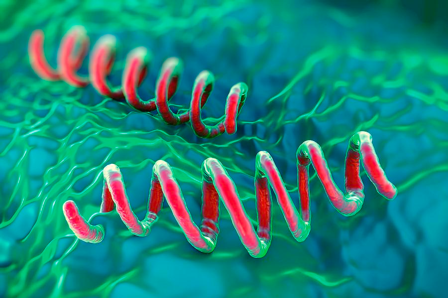 Giang mai bùng phát tại Đông Á, Nhật Bản ghi nhận hơn 13.000 ca mắc