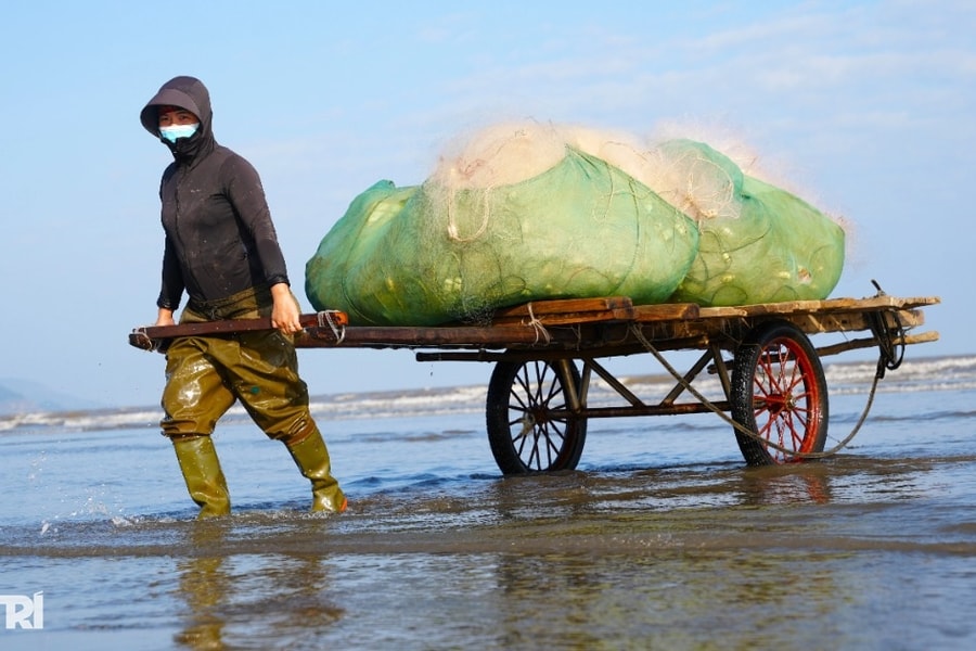 Vươn khơi vài giờ, ngư dân thu tiền triệu sắm Tết
