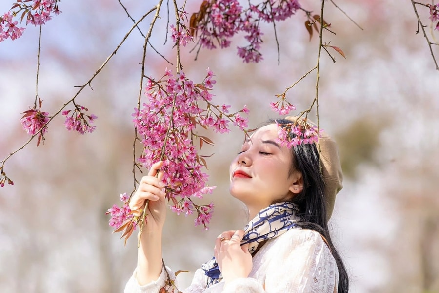 Sa Pa dẫn đầu tăng trưởng du lịch châu Á