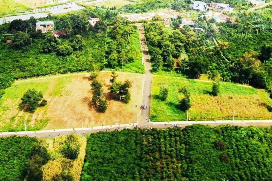 Chủ tịch Tập đoàn Sam Group bị truy nã