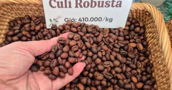 Cà phê lập kỷ lục xuất khẩu 9 tỉ USD: Chủ tịch VICOFA nói gì?