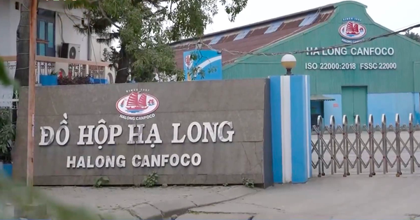 Đồ hộp Hạ Long giải trình vụ việc liên quan nguồn nguyên liệu, cổ phiếu CAN lao dốc mạnh