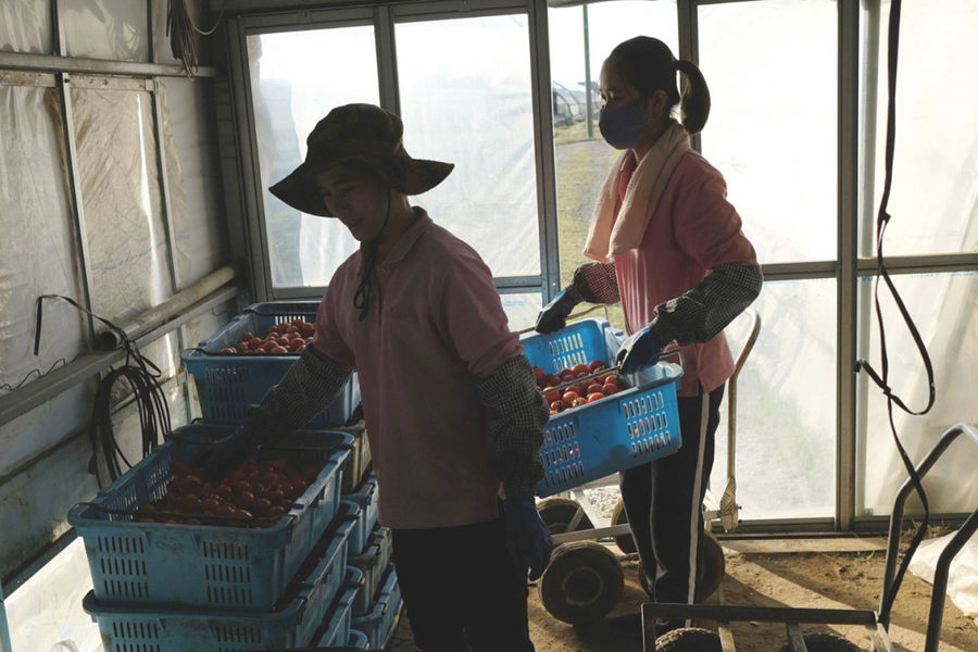 Chuyên gia Nhật 'bênh' lao động Việt bỏ trốn