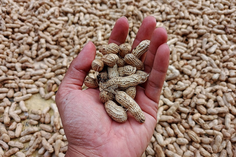 Ăn lạc có giúp ổn định đường huyết?