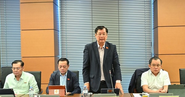 Người nước ngoài làm giám đốc doanh nghiệp nhà nước, có phải kê khai tài sản, thu nhập?