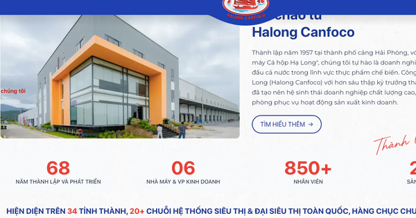 "Phù phép" 120 tấn thịt heo nhiễm bệnh: Đồ hộp Hạ Long có mặt tại hơn 20 chuỗi siêu thị?