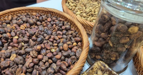 Giá cà phê hôm nay 8-1: Robusta giảm, Việt Nam bùng nổ xuất khẩu