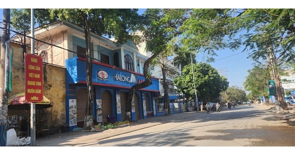 Vụ hơn 130 tấn thịt nhiễm dịch tả heo châu Phi, thông tin mới từ Công ty CP Đồ hộp Hạ Long