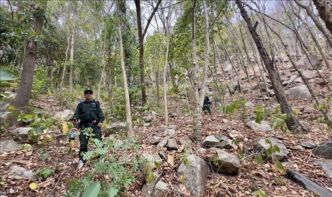 An Giang hạn chế thấp nhất thiệt hại cháy rừng mùa khô