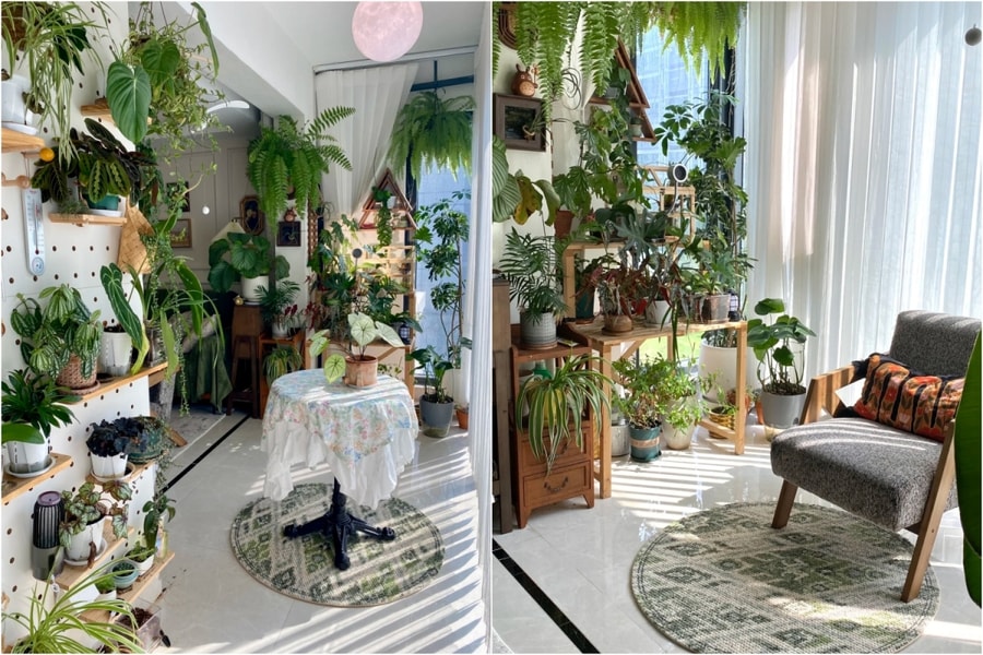 Biến ban công 10 m2 thành khu vườn nhỏ trong căn hộ 113 m2