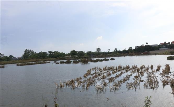 Thắp sáng niềm tin, kỳ vọng vào tương lai tươi sáng