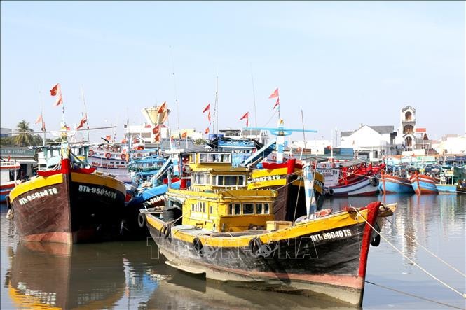 Kết luận của Phó Thủ tướng Trần Hồng Hà tại phiên họp 29 về IUU