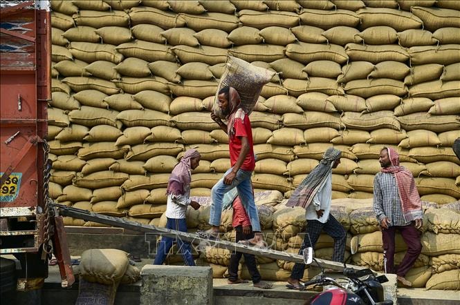 Thị trường nông sản: Giá gạo châu Á ảm đạm do nhu cầu yếu