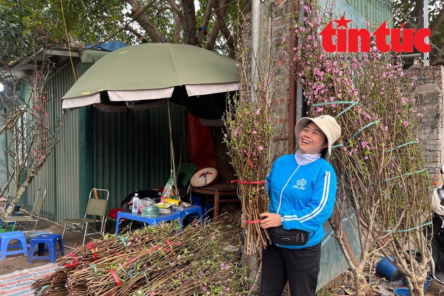 Thú chơi đào Tết sớm của người Hà Nội