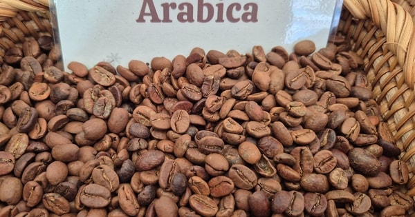 Giá cà phê hôm nay 10-1: Arabica lao dốc