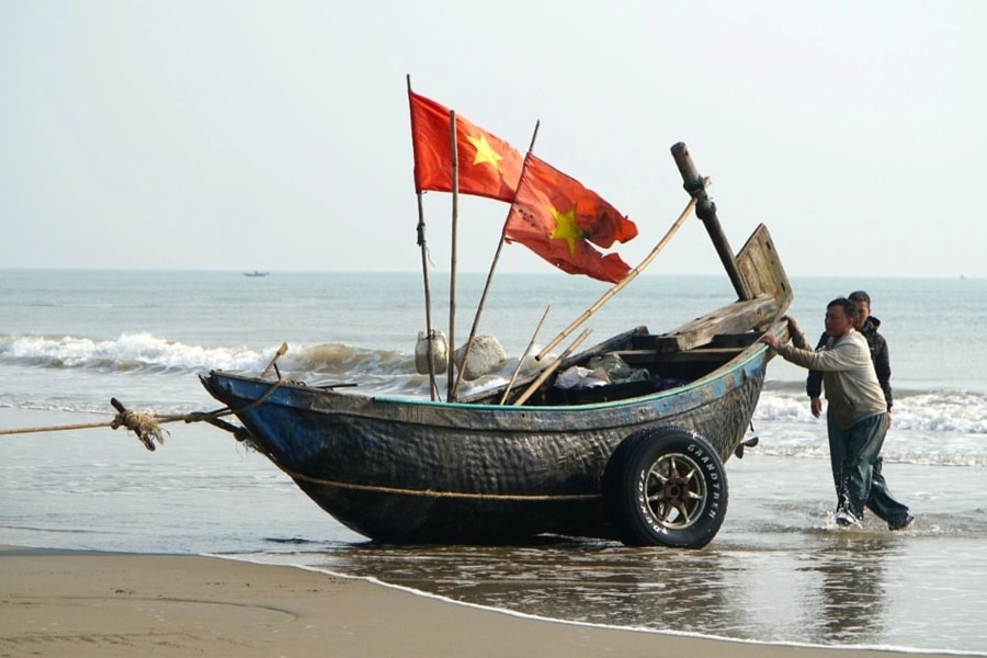 Lạnh tê tái, ngư dân ra khơi săn loài cá đắt đỏ, thu vài triệu đồng