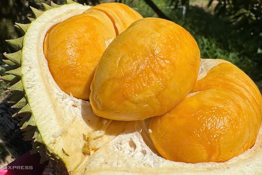 Rau quả Việt tăng trưởng mạnh nhất tại Trung Quốc