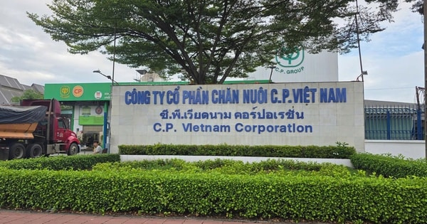 Vụ Công ty CP Chăn nuôi C.P. Việt Nam bị tố bán heo bệnh: Xem xét chuyển Bộ Công an điều tra