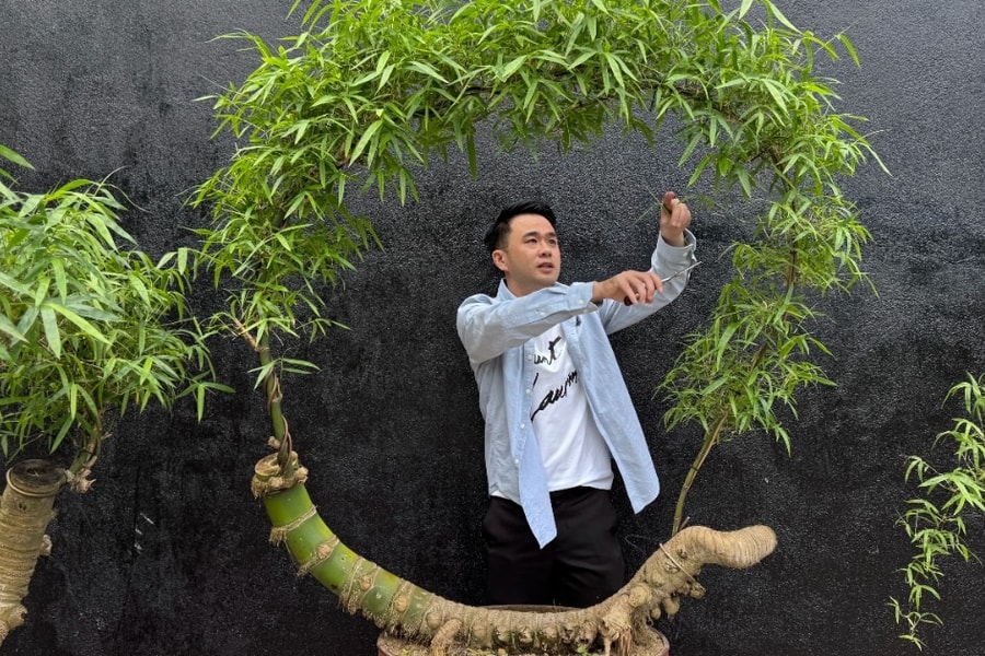 Biến gốc tre thành bonsai có giá hàng chục triệu đồng