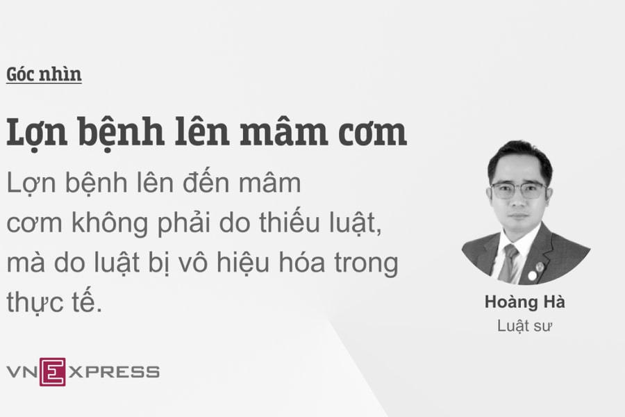 Lợn bệnh lên mâm cơm