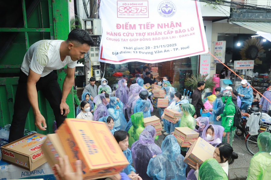 Quỹ từ thiện không được cho vay, góp vốn