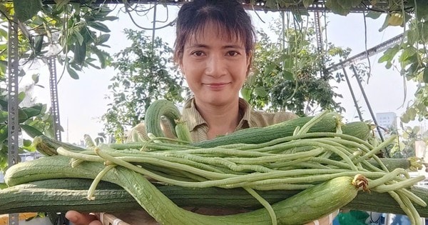 Khởi nghiệp online với cây giống, hoa kiểng Tết