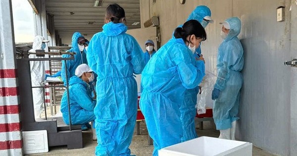 Sau vụ Công ty đồ hộp Hạ Long nhập hơn 130 tấn thịt nhiễm bệnh, Hải Phòng siết nguồn gốc thực phẩm