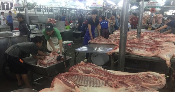 Giá heo hơi hôm nay, 12-1: Giá về chợ tiếp tục tăng cao