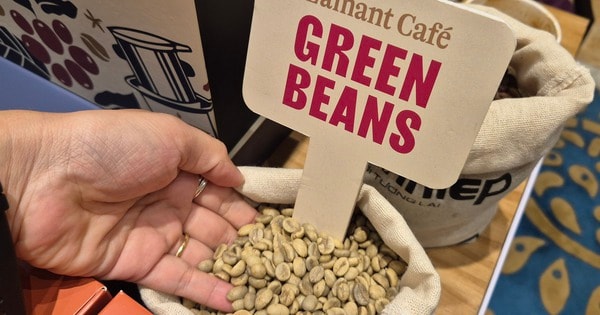 Giá cà phê hôm nay 12-1: Điểm danh những "ông lớn" xuất khẩu