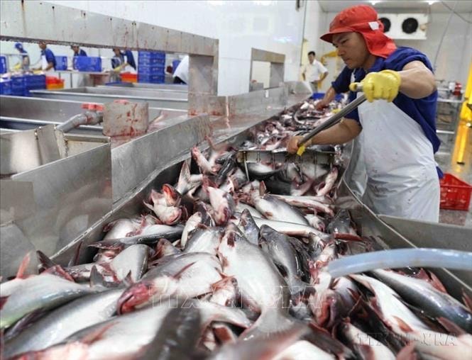 Chuẩn hóa quy tắc xuất xứ AANZFTA, bảo đảm thực thi thống nhất