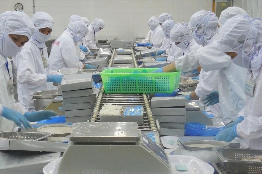 Lao động chỉ cần biết đọc, biết viết là có lương 10-15 triệu đồng/tháng