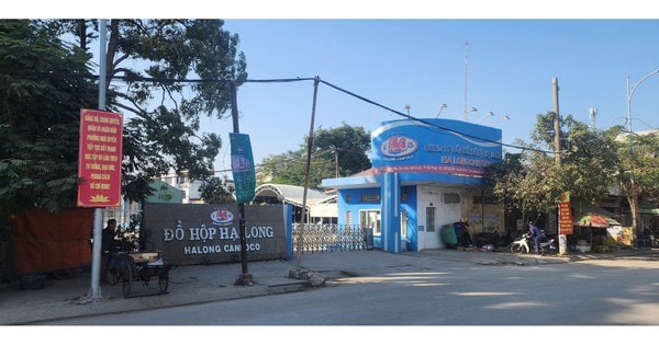 Kiểm tra Công ty Đồ hộp Hạ Long, 3 năm không phát hiện sai phạm