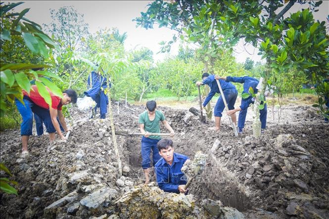 Tìm thấy thêm hài cốt liệt sĩ tại xã Phú Hựu, tỉnh Đồng Tháp